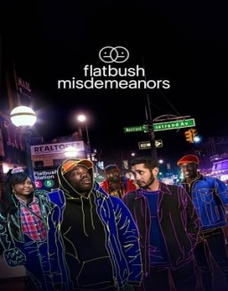 série Flatbush Misdemeanors
